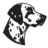 Coachmen logo image