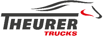 Theurer, inc. logo image